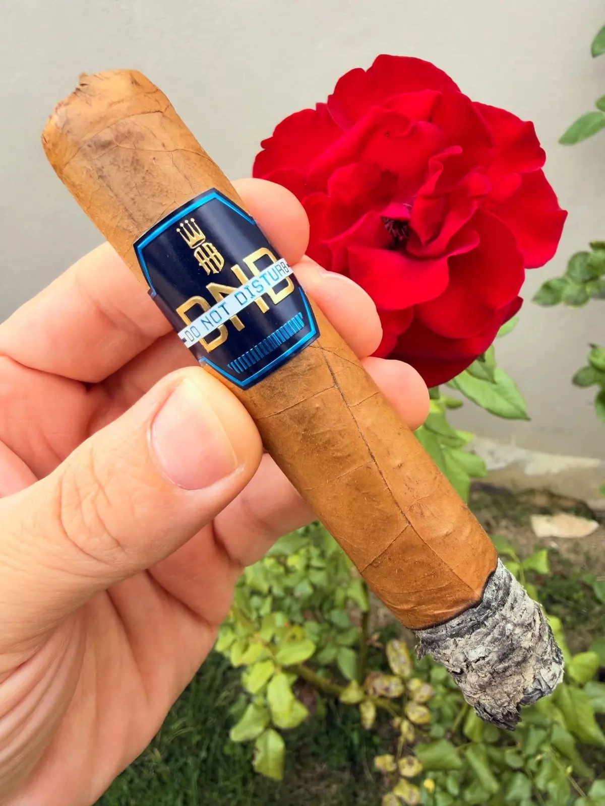 Alec Bradley Do Not Disturb cigar, photographed by CigarSolace