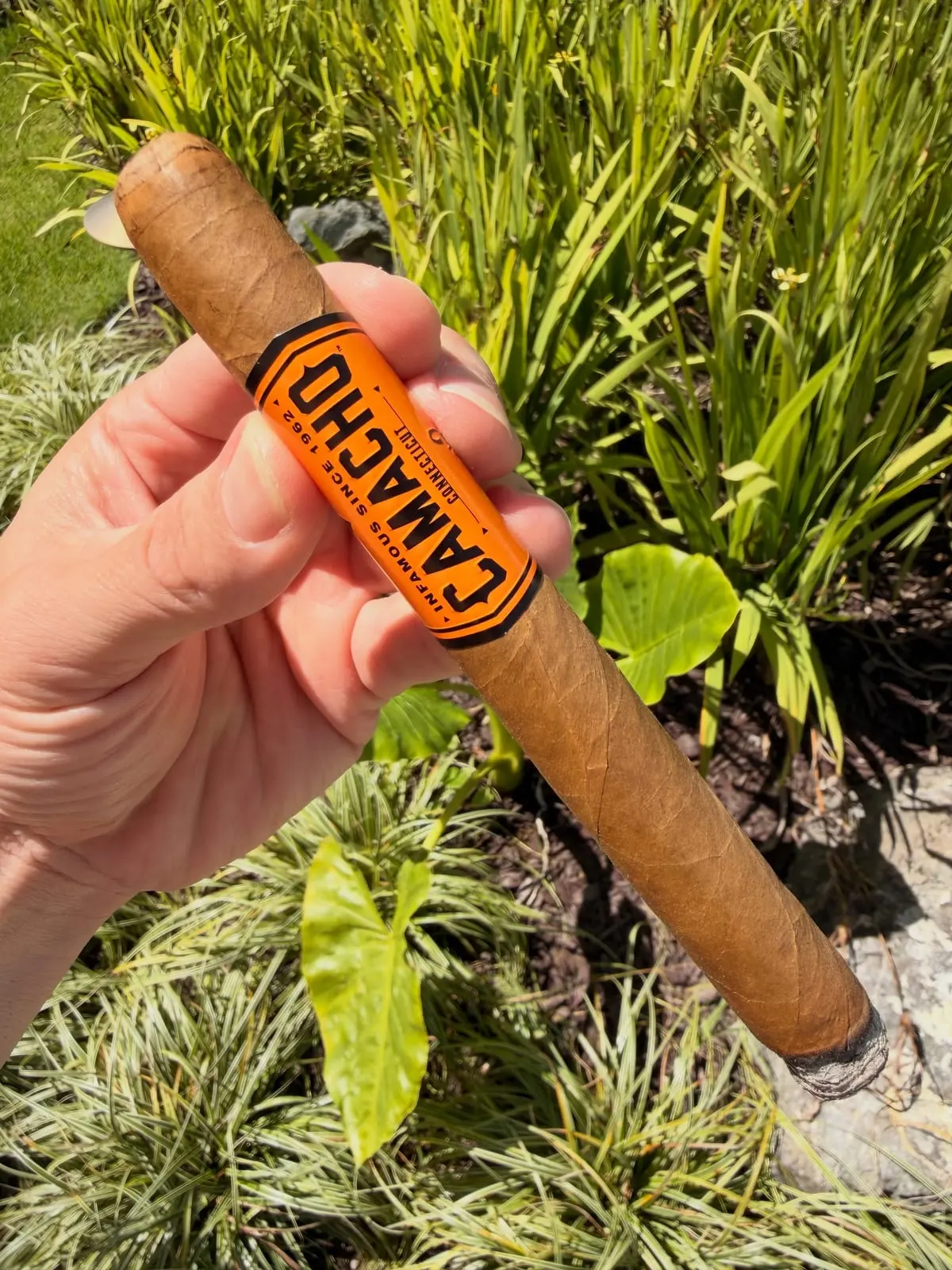 Camacho Connecticut cigar, photographed by CigarSolace
