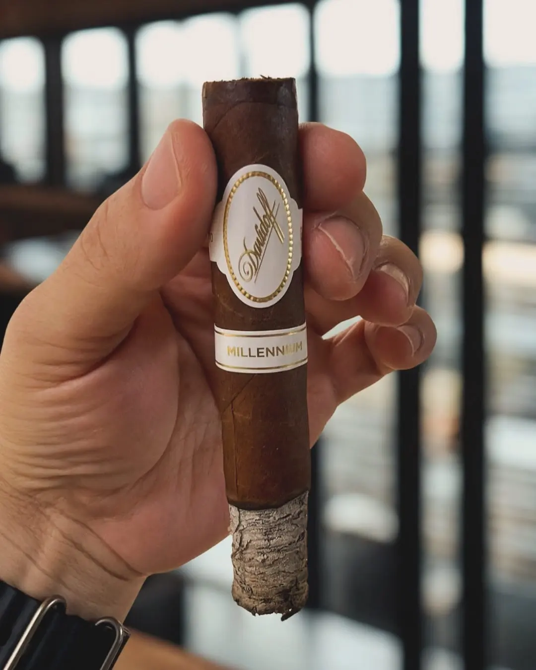 Davidoff Millennium Robusto cigar, photographed by CigarSolace