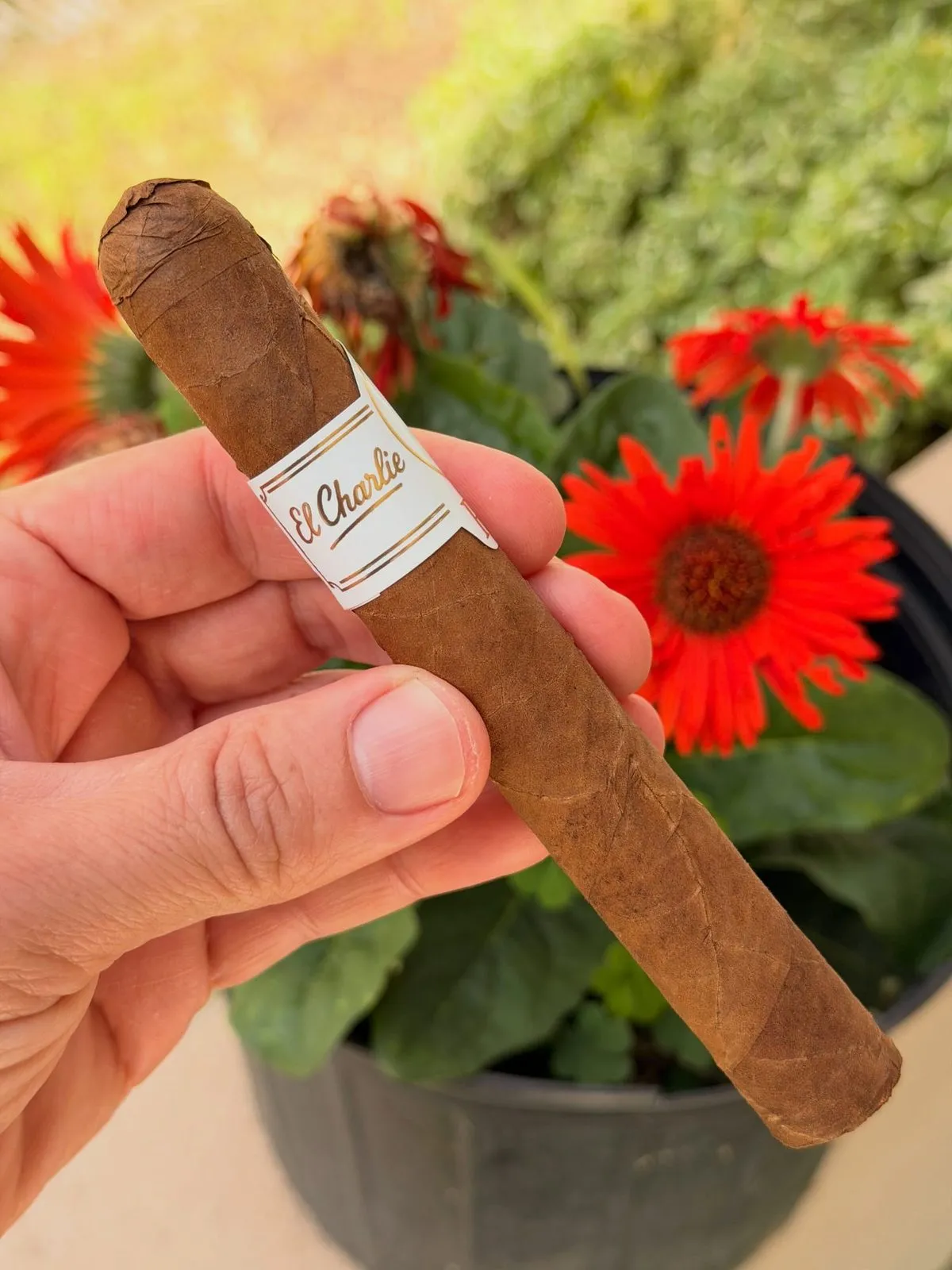 El Charlie, photo 2 by CigarSolace