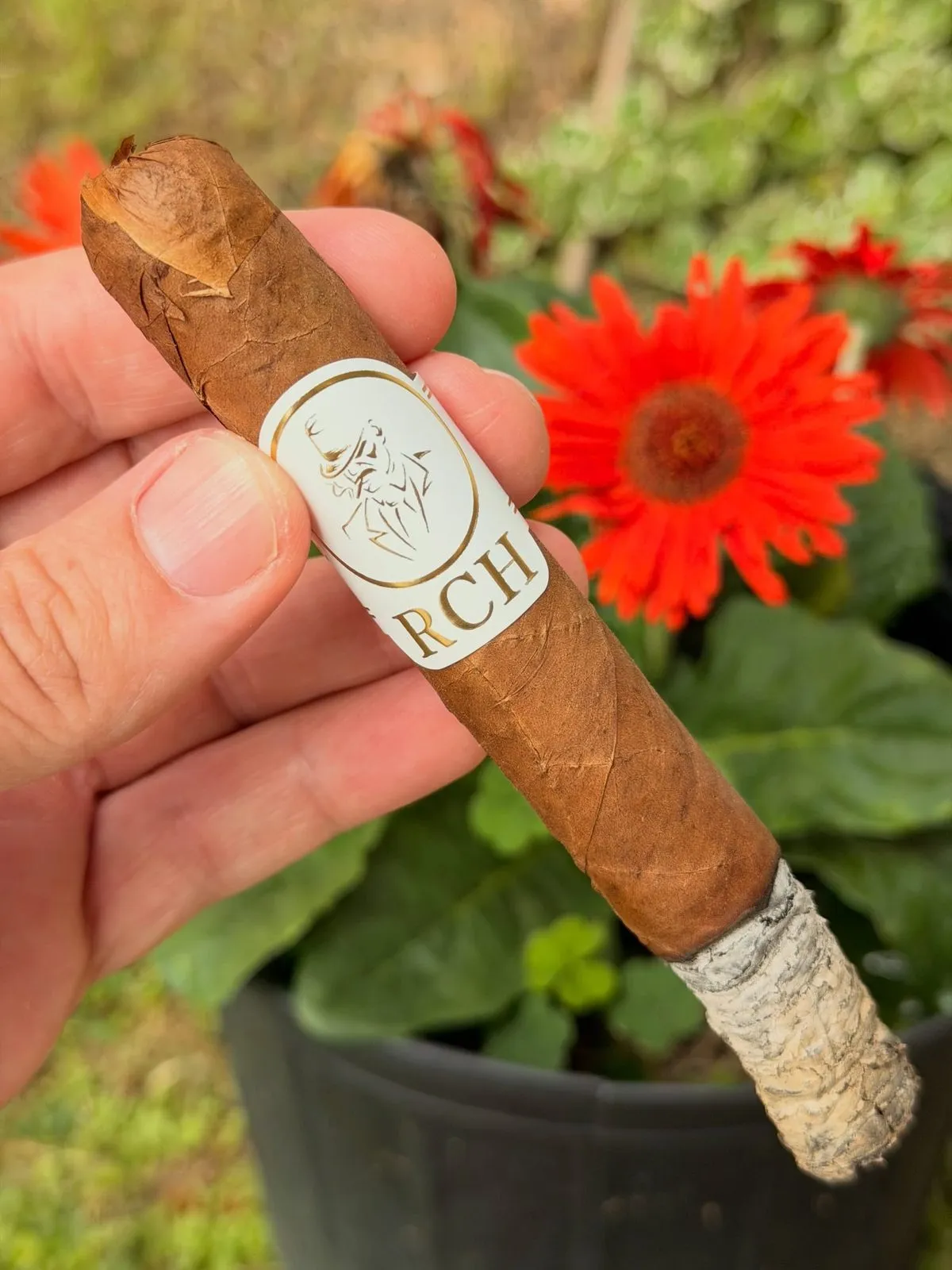 El Charlie, photo 3 by CigarSolace