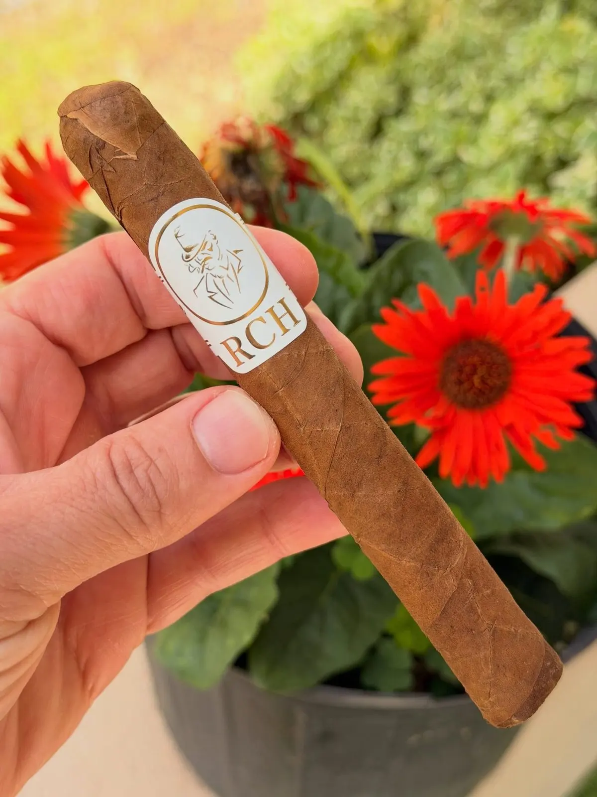 El Charlie cigar, photographed by CigarSolace