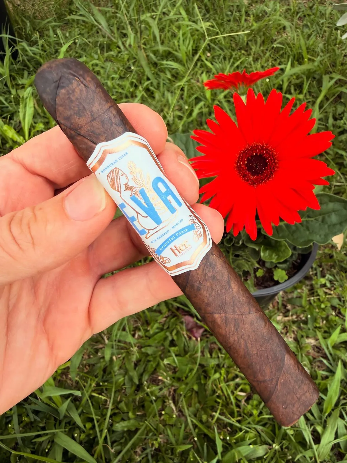EVA Maduro, photo 2 by CigarSolace