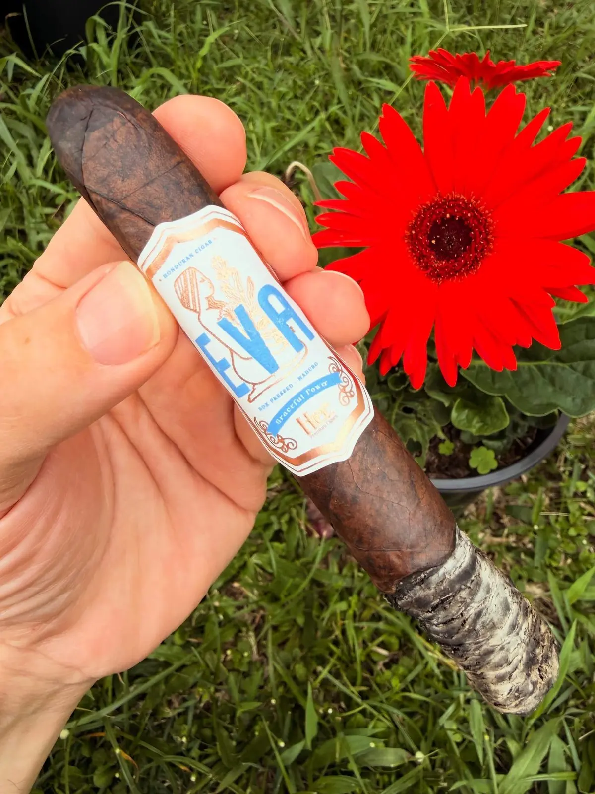 EVA Maduro cigar, photographed by CigarSolace