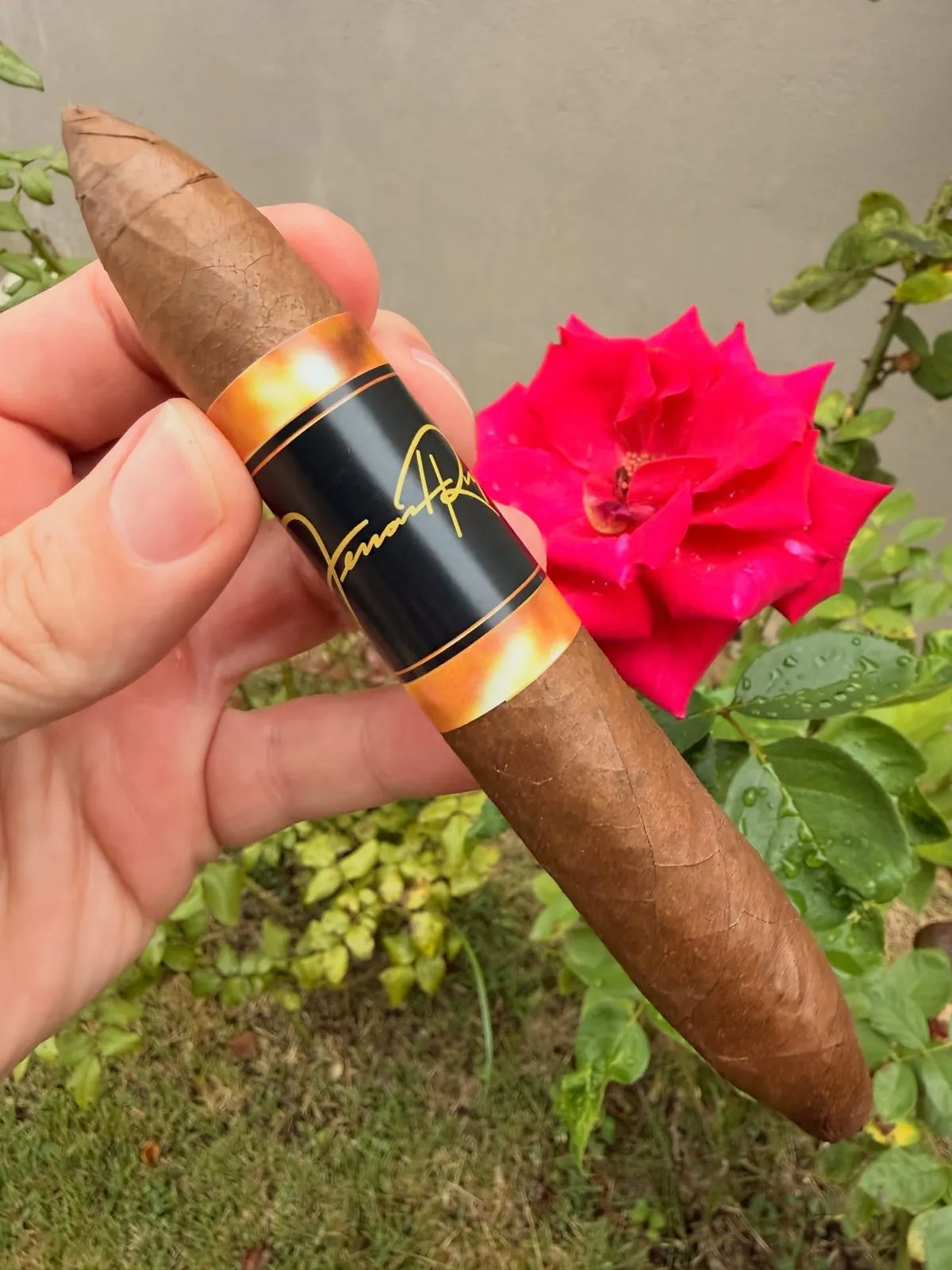 Fernand Reyes / Dr. Radio — Don Rosario Habano Perfecto, photo 2 by CigarSolace