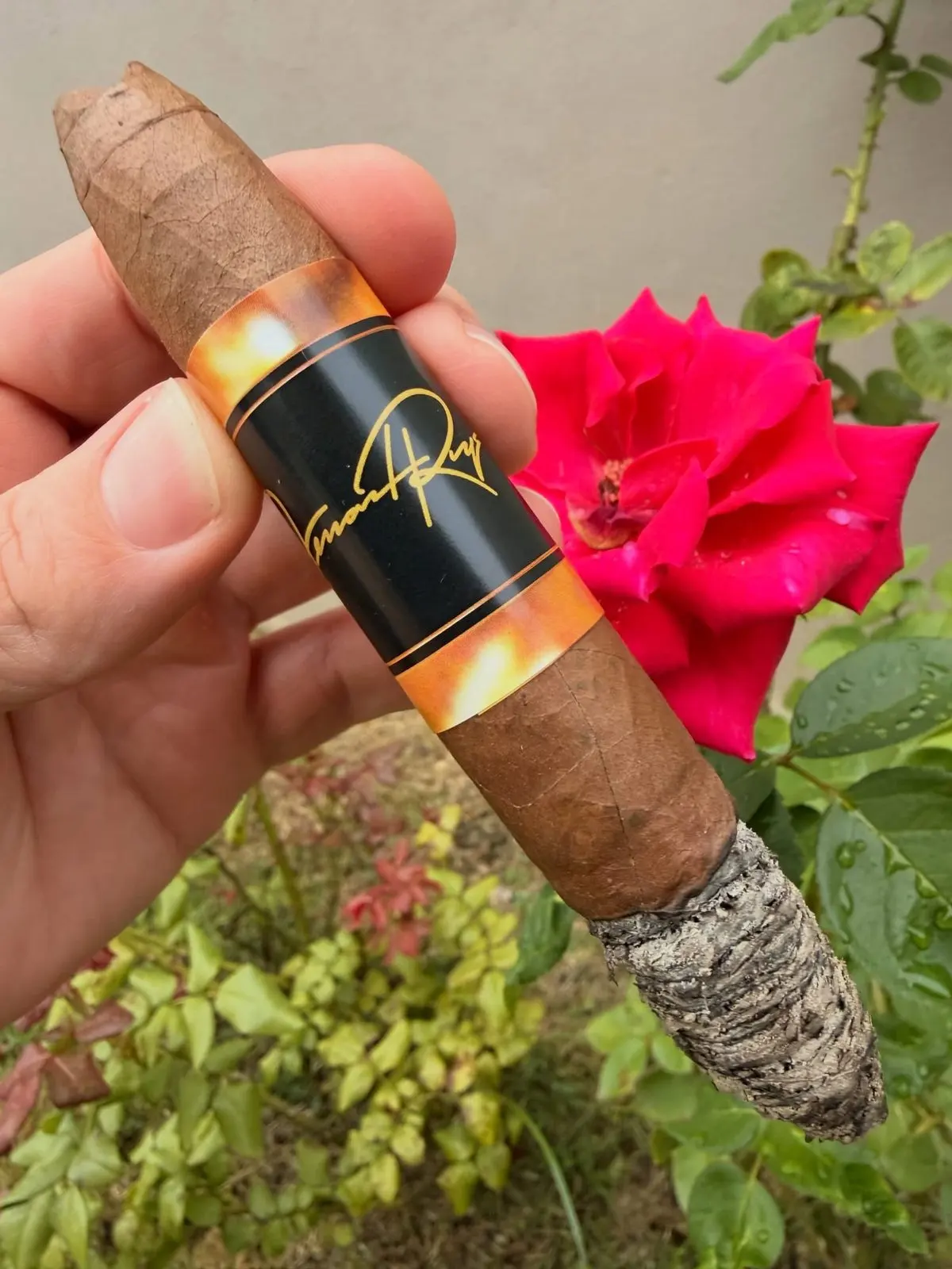Fernand Reyes / Dr. Radio — Don Rosario Habano Perfecto cigar, photographed by CigarSolace