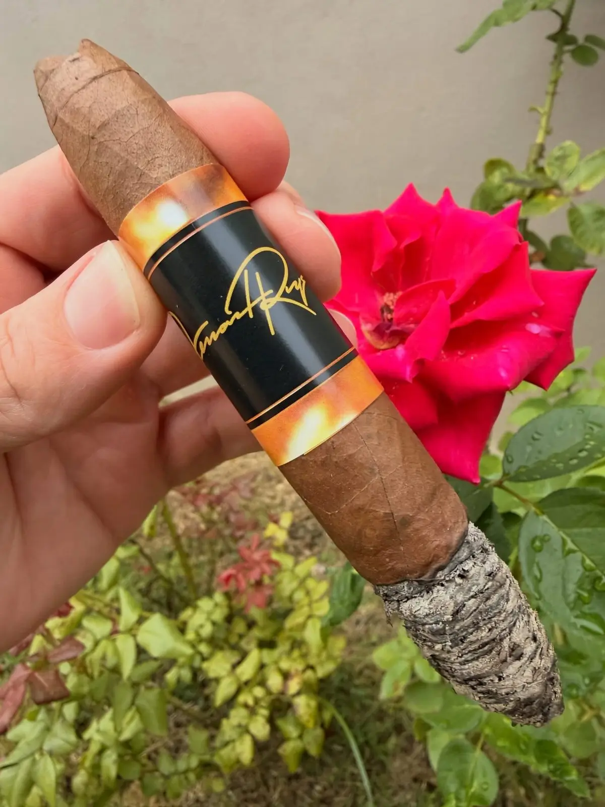 Fernand Reyes / Dr. Radio — Don Rosario Habano Perfecto cigar, photographed by CigarSolace