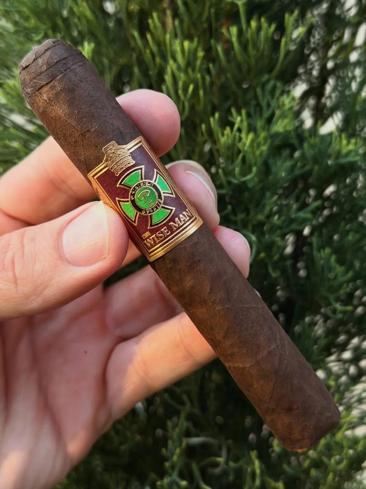 Foundation The Wise Man Maduro — Corona cigar, photographed by CigarSolace