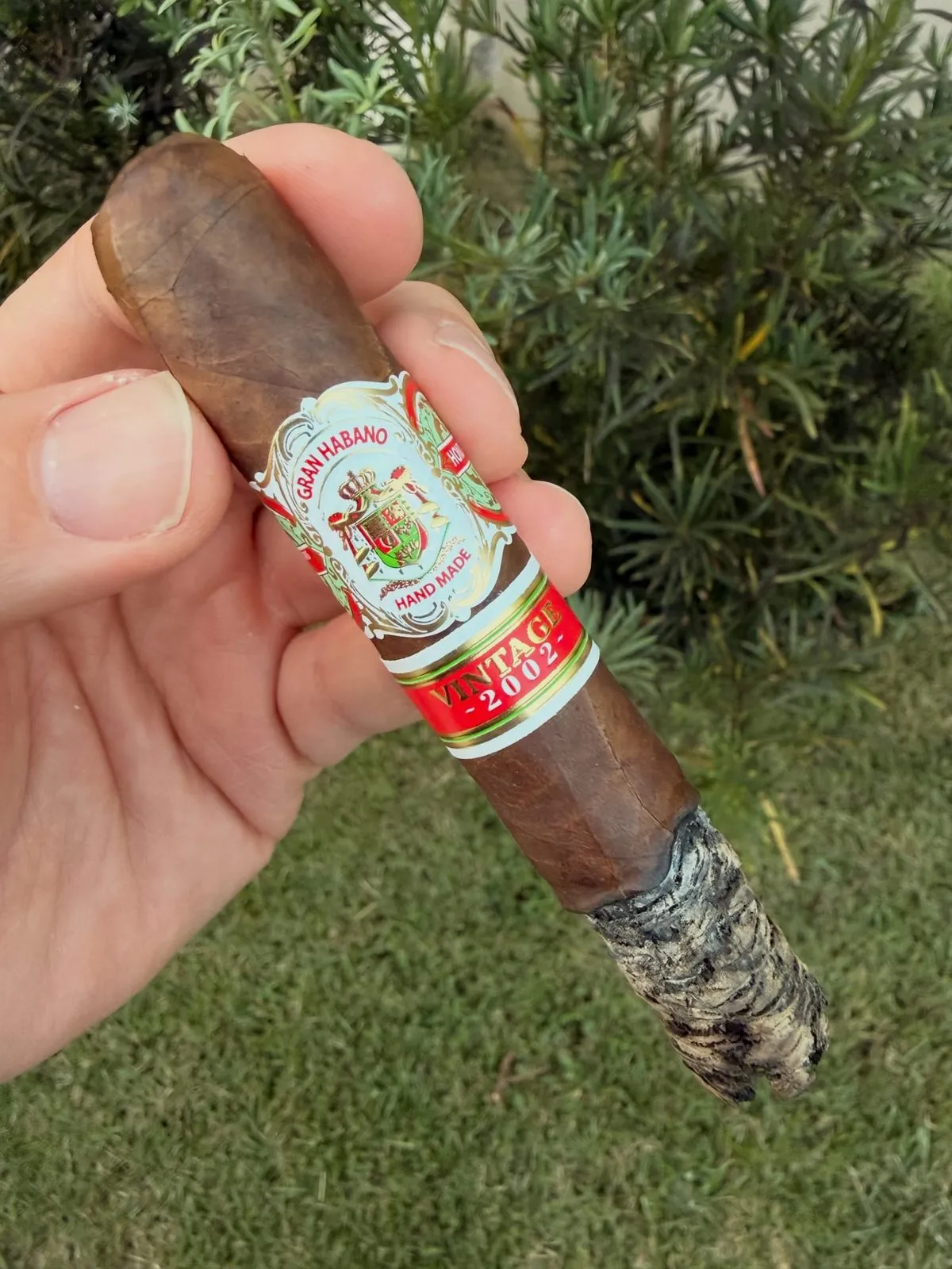 Gran Habano Corojo Vintage 2002, photo 2 by CigarSolace