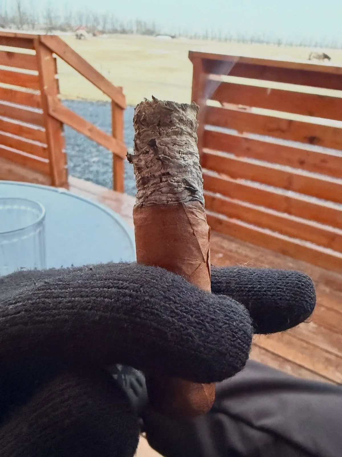 Hoyo de Monterrey Epicure No. 2 — Robusto, photo 3 by CigarSolace