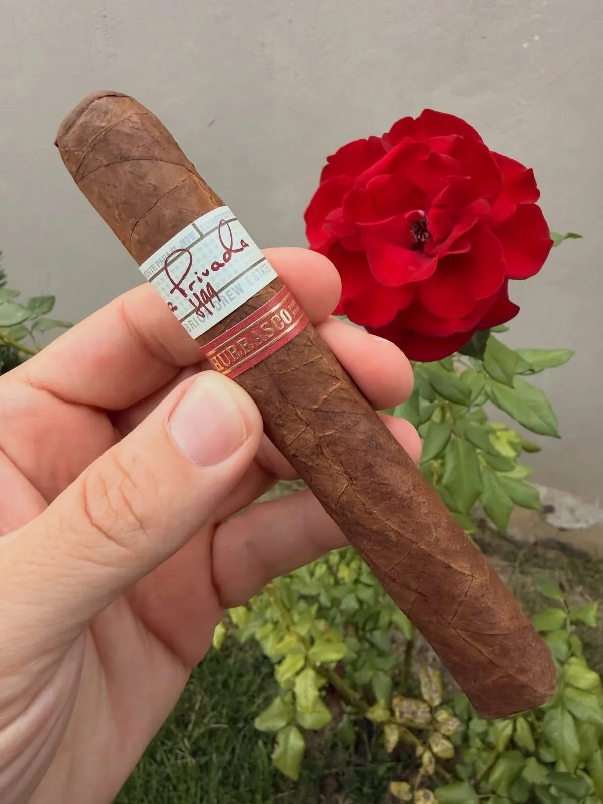 Liga Privada H99 Churrasco cigar, photographed by CigarSolace