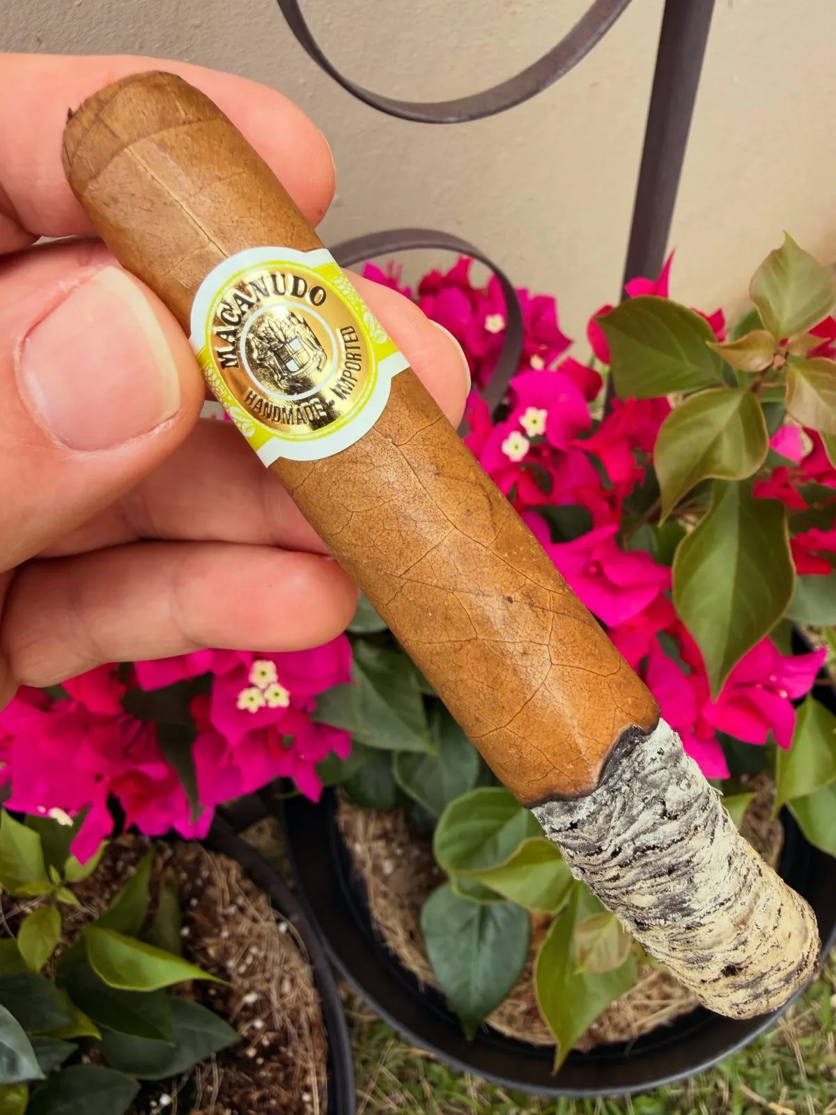 Macanudo Café Hyde Park, photo 2 by CigarSolace