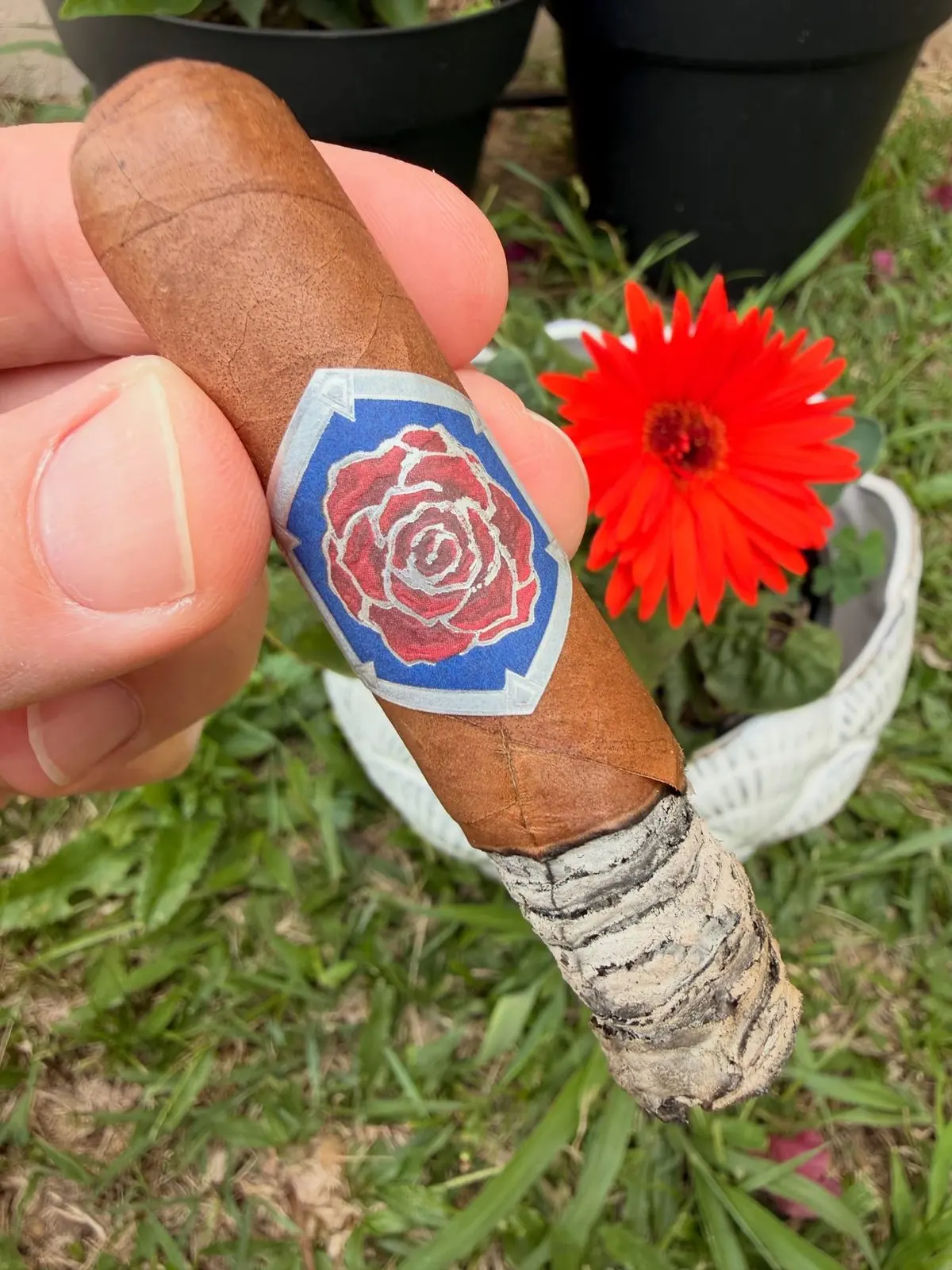 Made Man Tailor Made cigar, photographed by CigarSolace