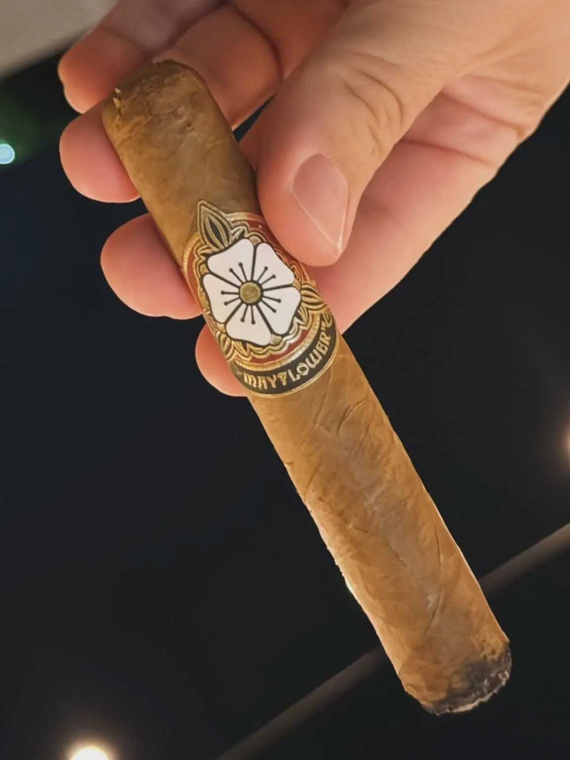 Mayflower Dawn Toro, photo 2 by CigarSolace