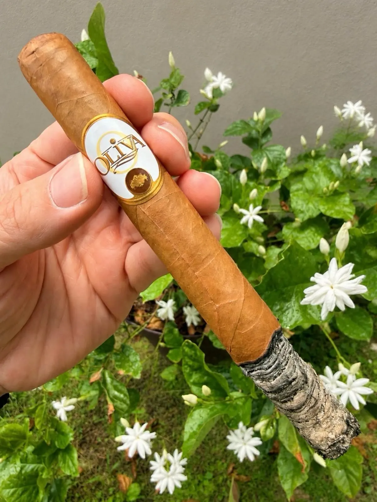 Oliva Connecticut Reserve Churchill cigar, photographed by CigarSolace