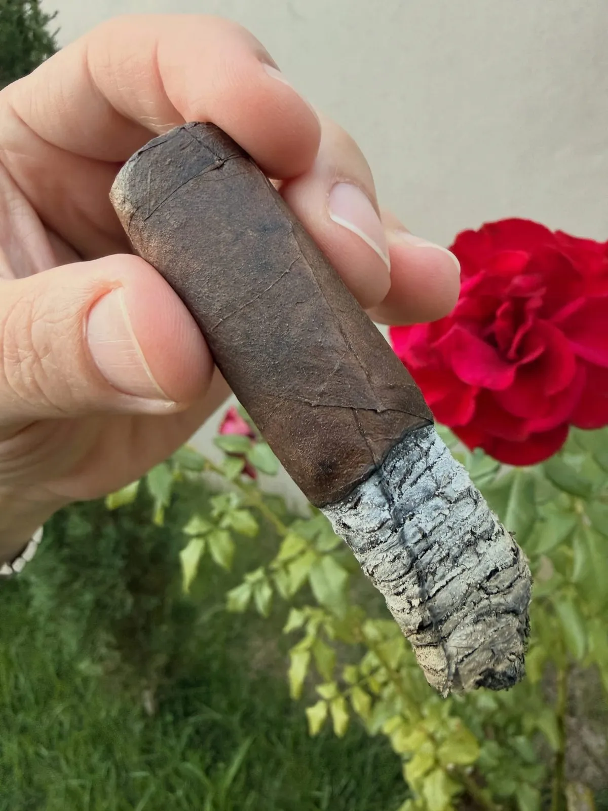 Oliva Serie V Melanio Maduro, photo 3 by CigarSolace