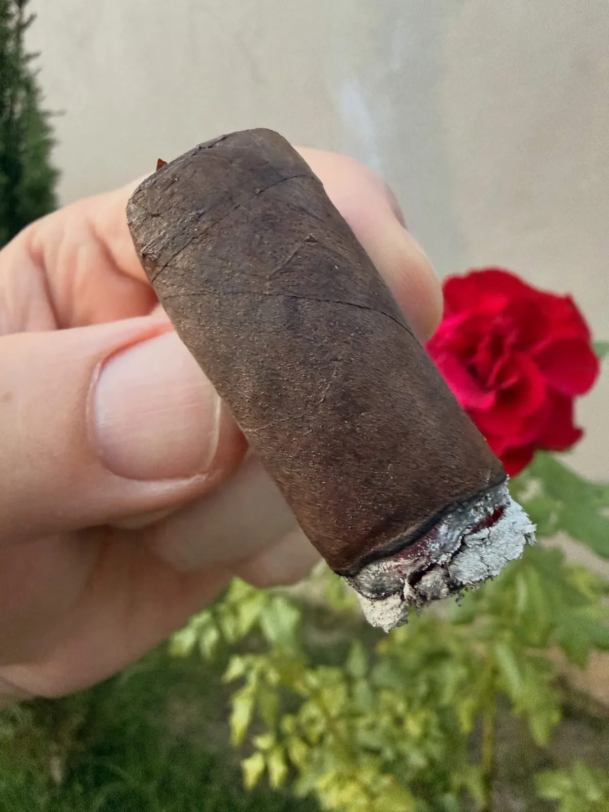 Oliva Serie V Melanio Maduro, photo 4 by CigarSolace