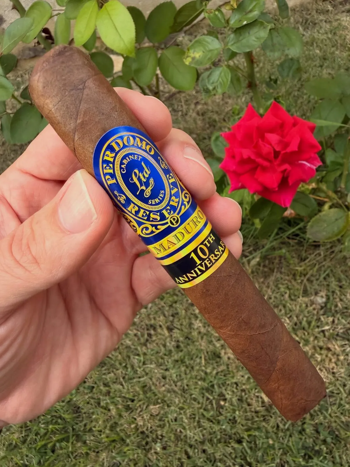 Perdomo 10th Anniversary Maduro Epicure, photo 2 by CigarSolace