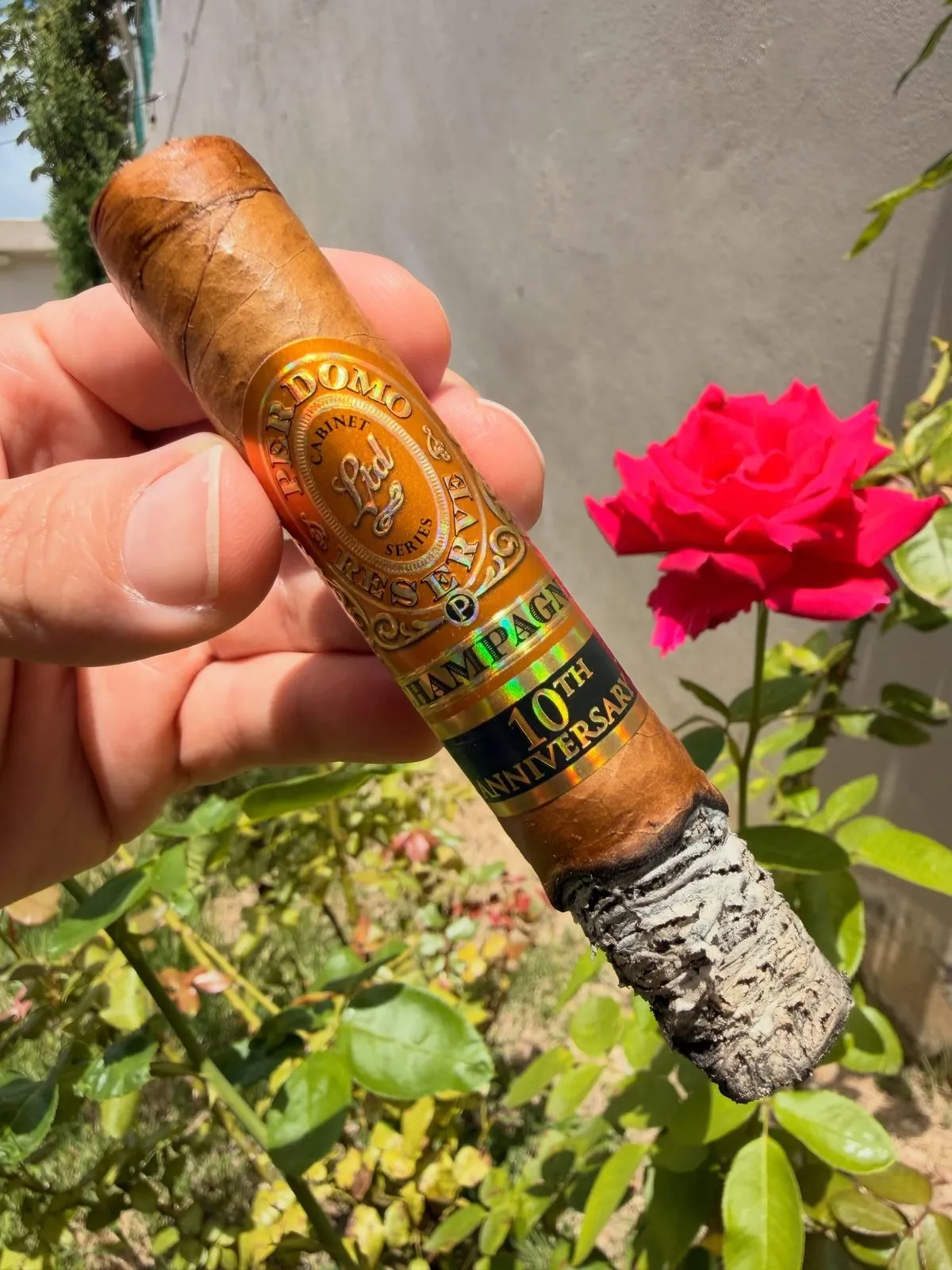 Perdomo Reserve 10th Anniversary Champagne, photo 2 by CigarSolace