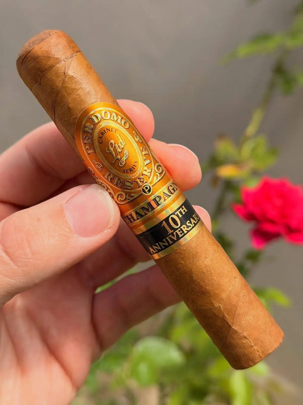 Perdomo Reserve 10th Anniversary Champagne cigar, photographed by CigarSolace