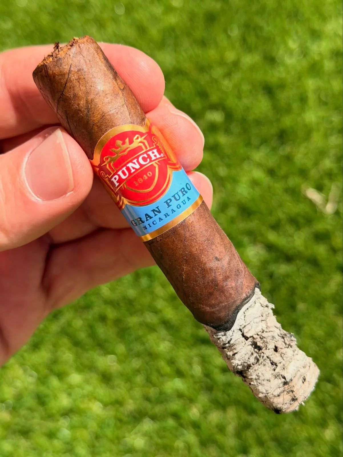Punch Gran Puro Nicaragua — Robusto, photo 2 by CigarSolace