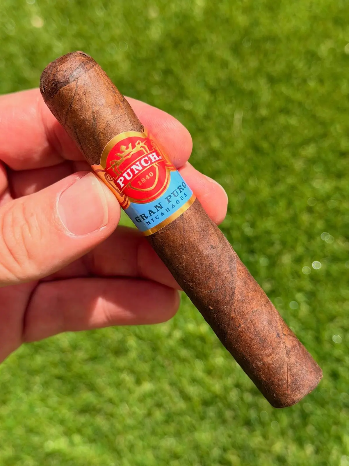 Punch Gran Puro Nicaragua — Robusto cigar, photographed by CigarSolace