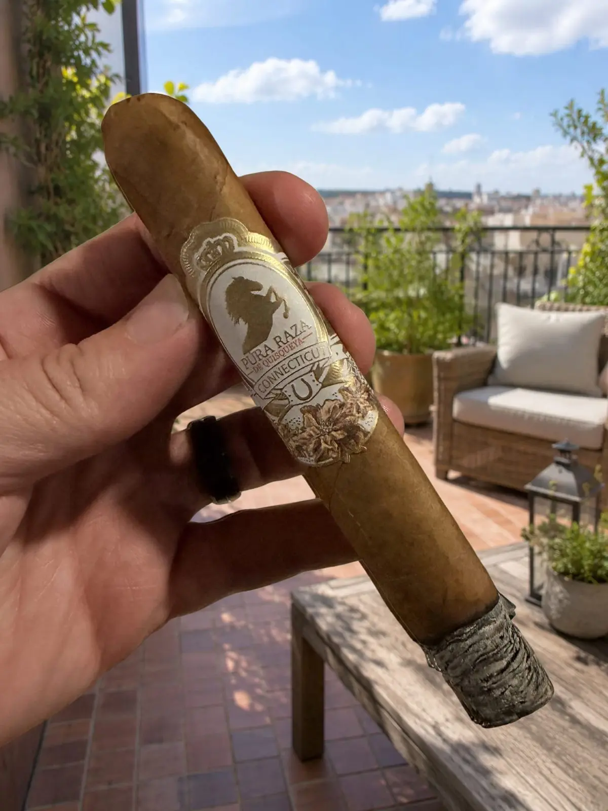 Pura Raza de Quisqueya Connecticut — Toro cigar, photographed by CigarSolace
