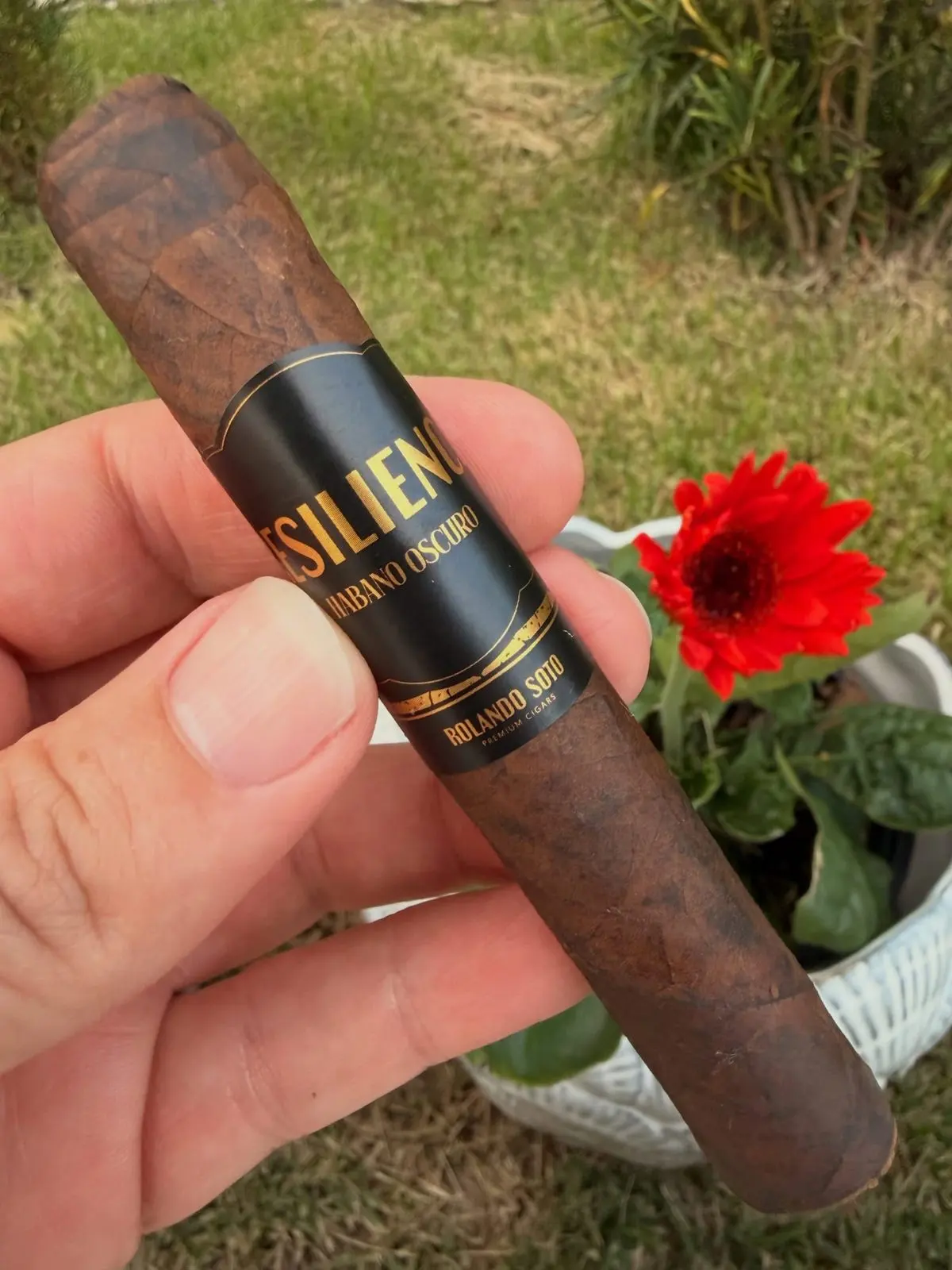 Resilience Habano Oscuro cigar, photographed by CigarSolace