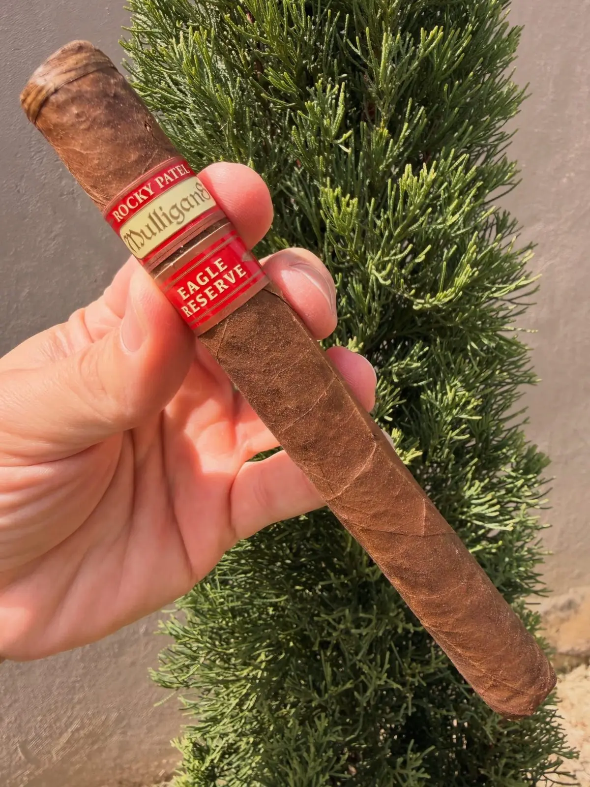 Rocky Patel Mulligans Eagle Reserve — Churchill cigar, photographed by CigarSolace