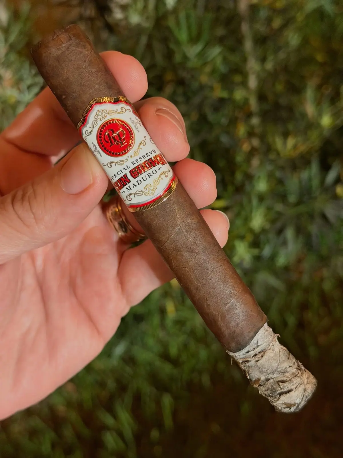 Rocky Patel Special Reserve Sun Grown Maduro cigar, photographed by CigarSolace