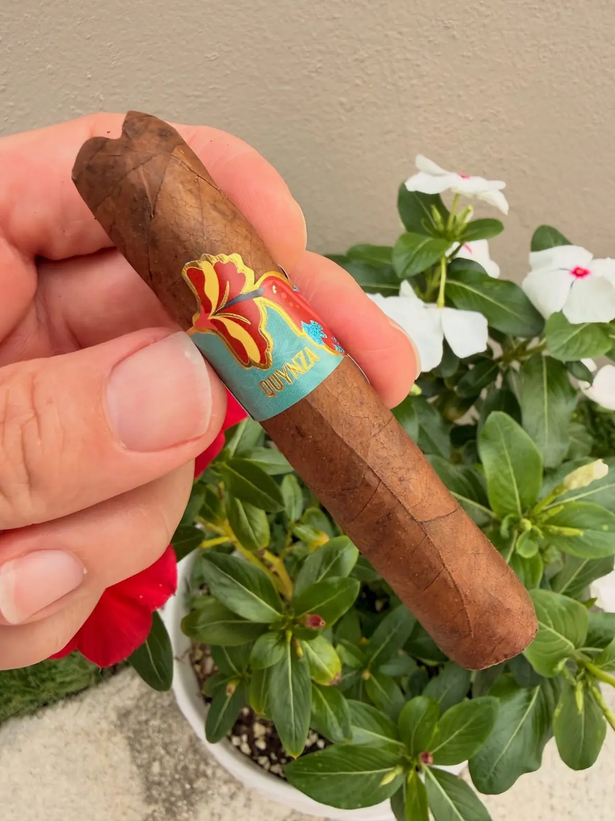 Quynza Habano — Rolando Soto cigar, photographed by CigarSolace