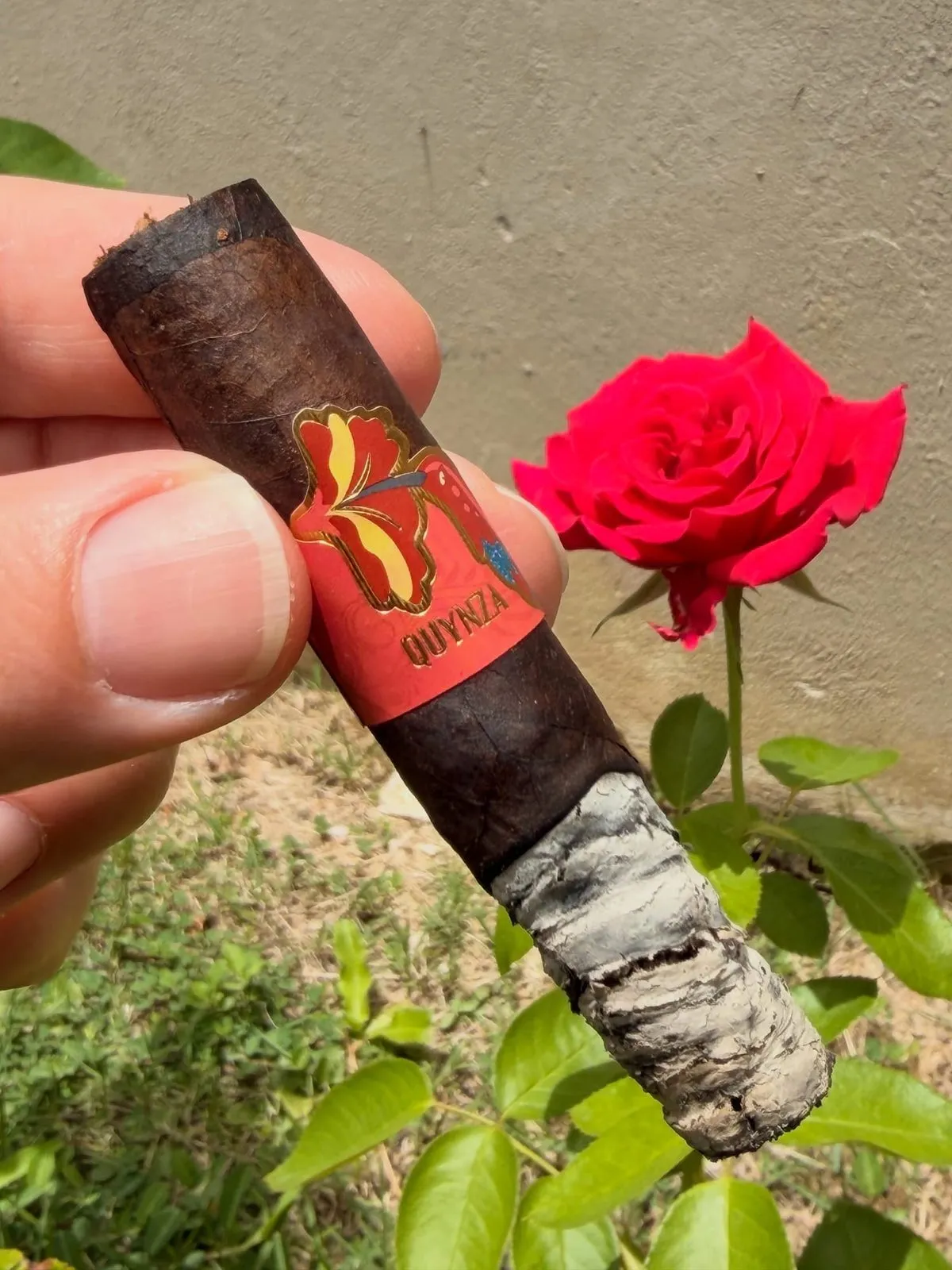 Quynza Maduro — Rolando Soto, photo 2 by CigarSolace