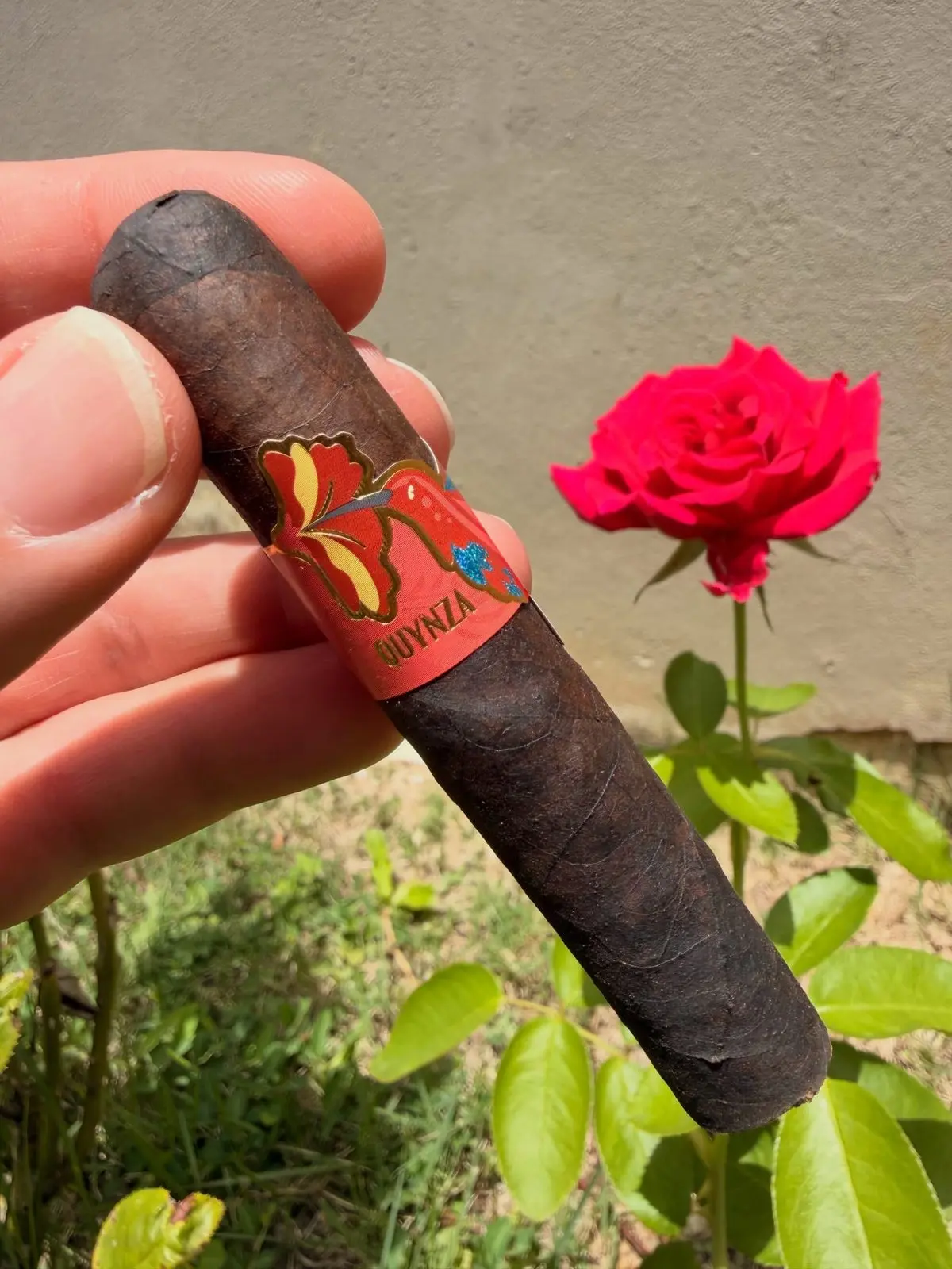 Quynza Maduro — Rolando Soto cigar, photographed by CigarSolace