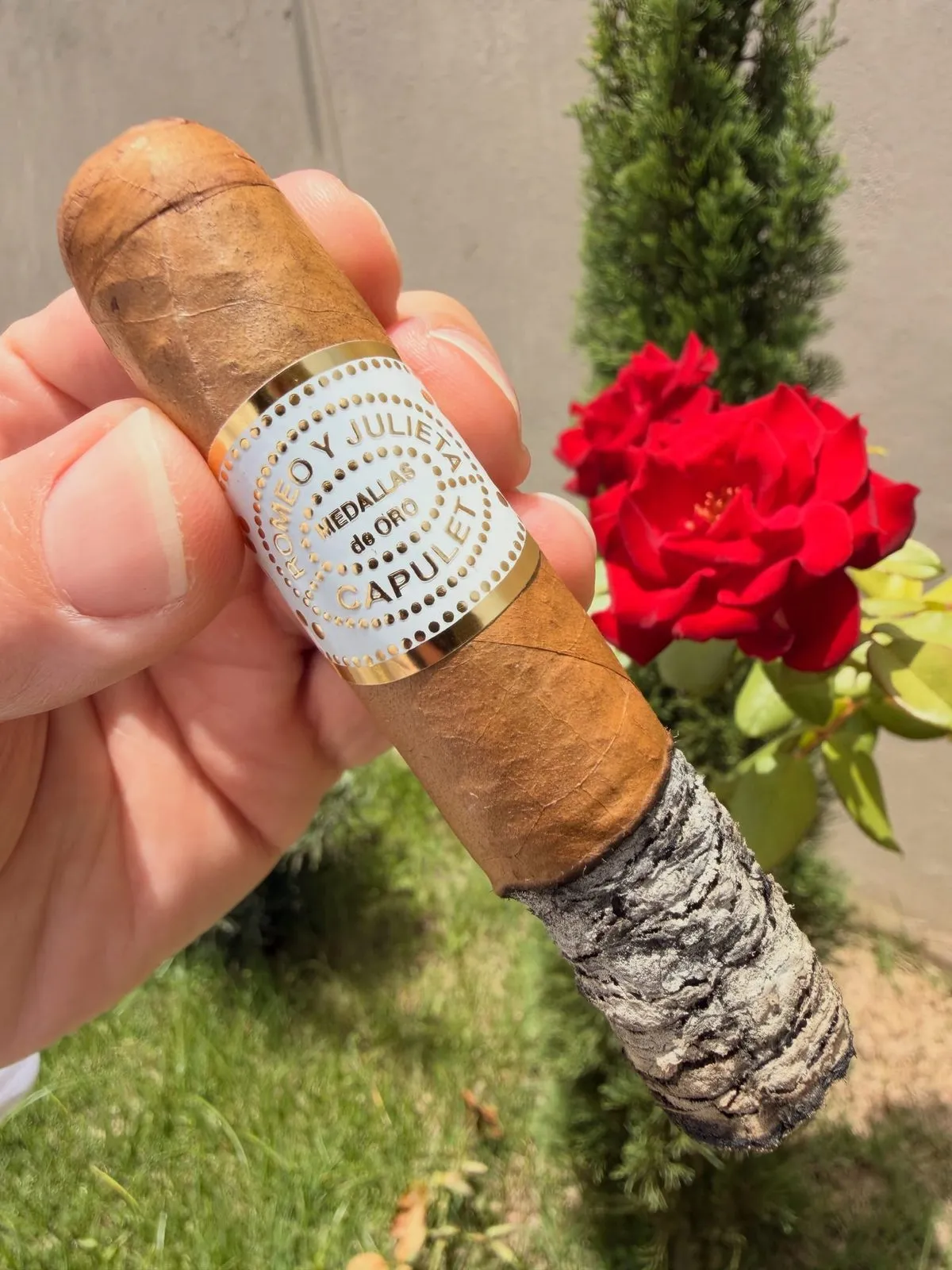 Another Medium Notes Romeo y Julieta Capulet 75th Anniversary — Toro Review & Tasting Notes ...