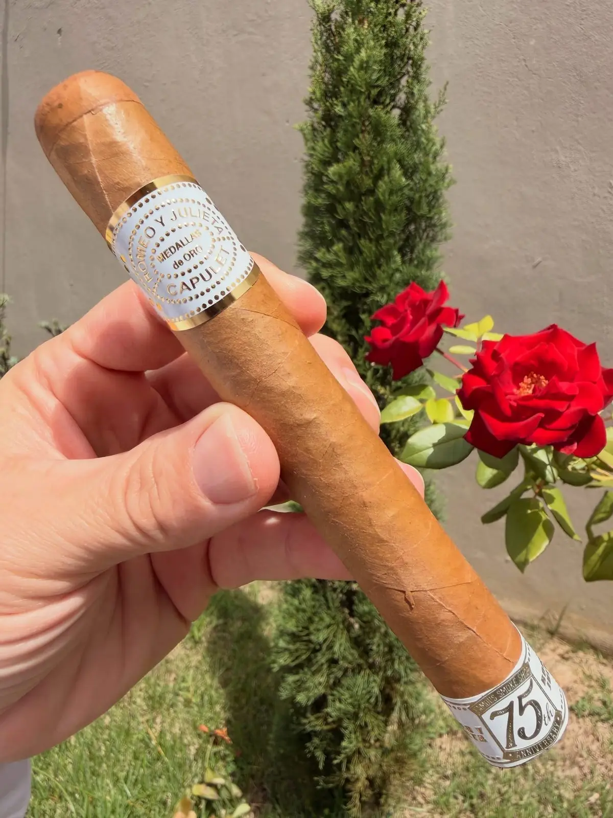 Romeo y Julieta Capulet 75th Anniversary — Toro cigar, photographed by CigarSolace