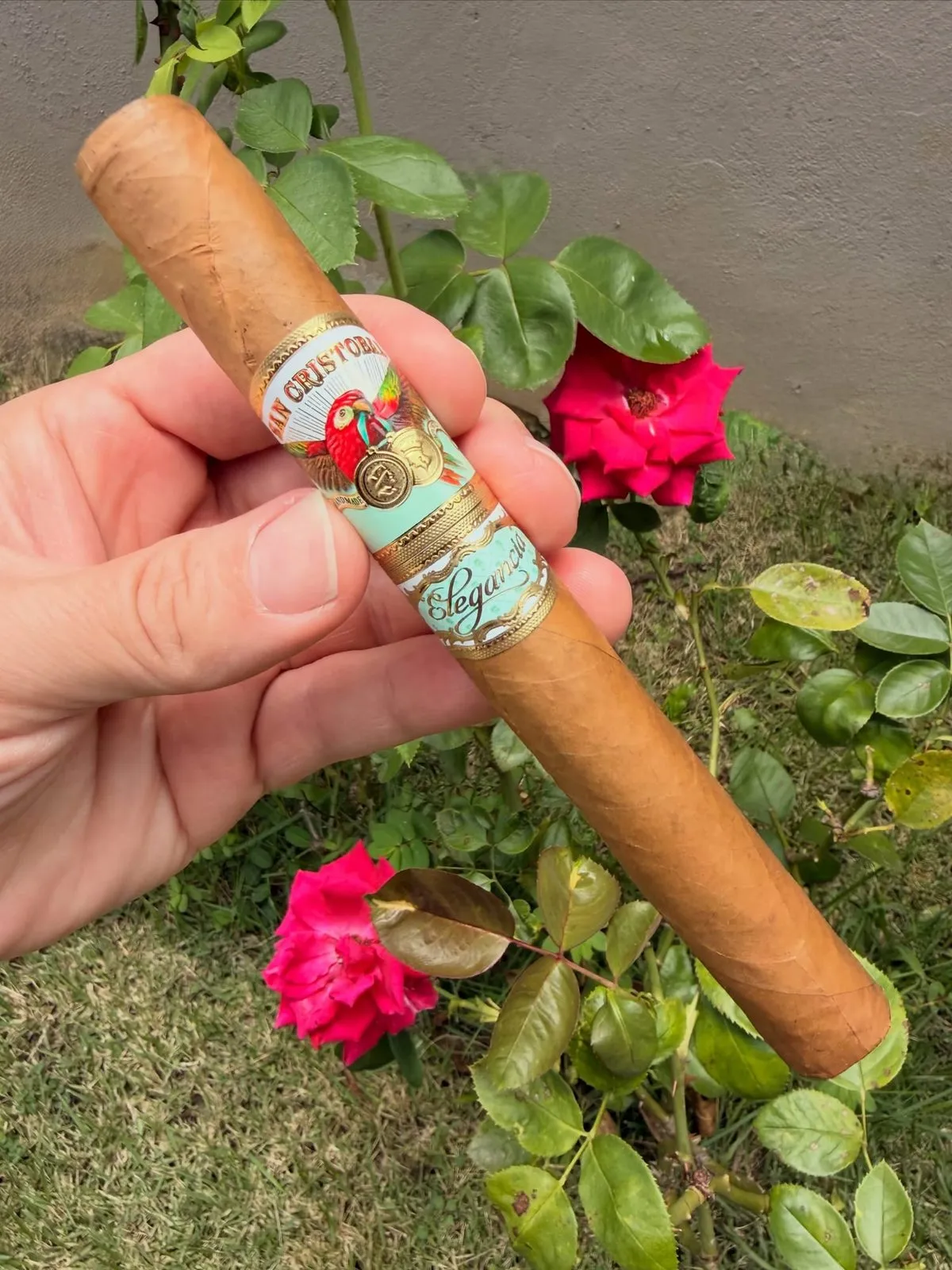 San Cristobal Elegancia Churchill, photo 2 by CigarSolace