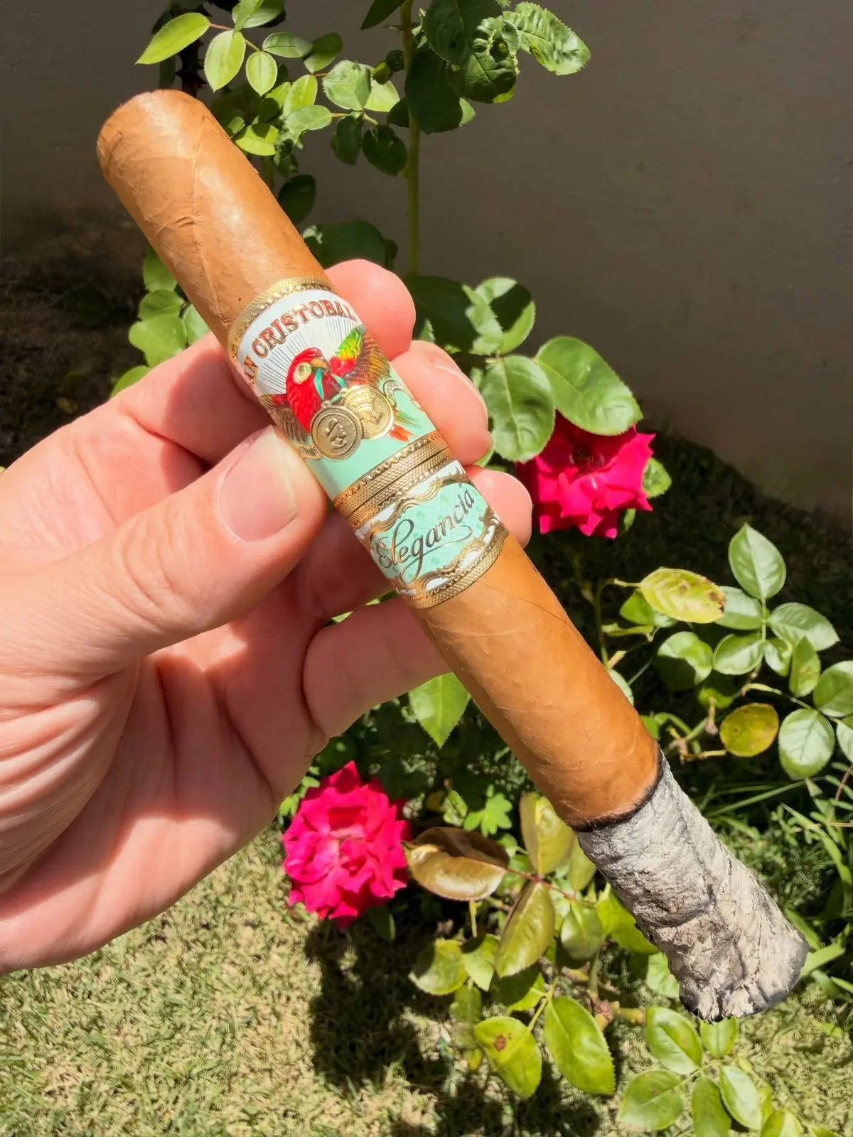 San Cristobal Elegancia Churchill cigar, photographed by CigarSolace