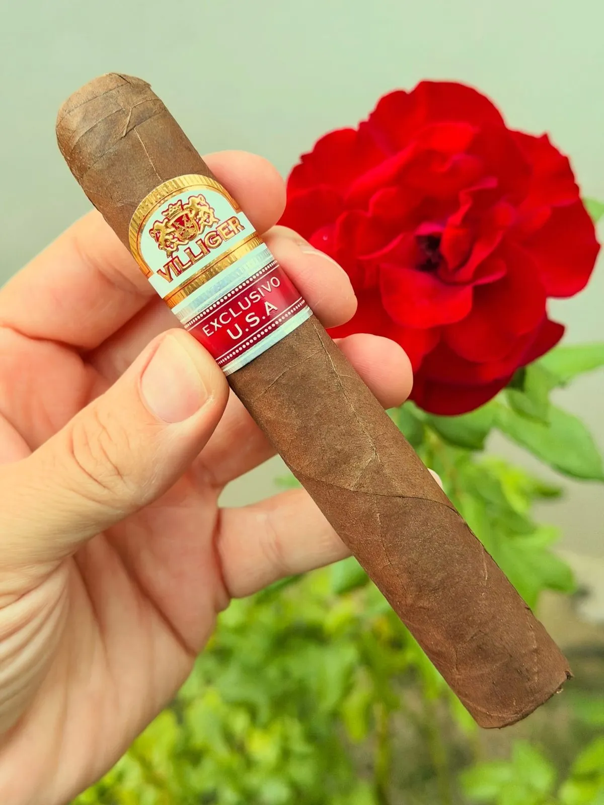 Villiger Exclusivo U.S.A. Gordo, photo 3 by CigarSolace