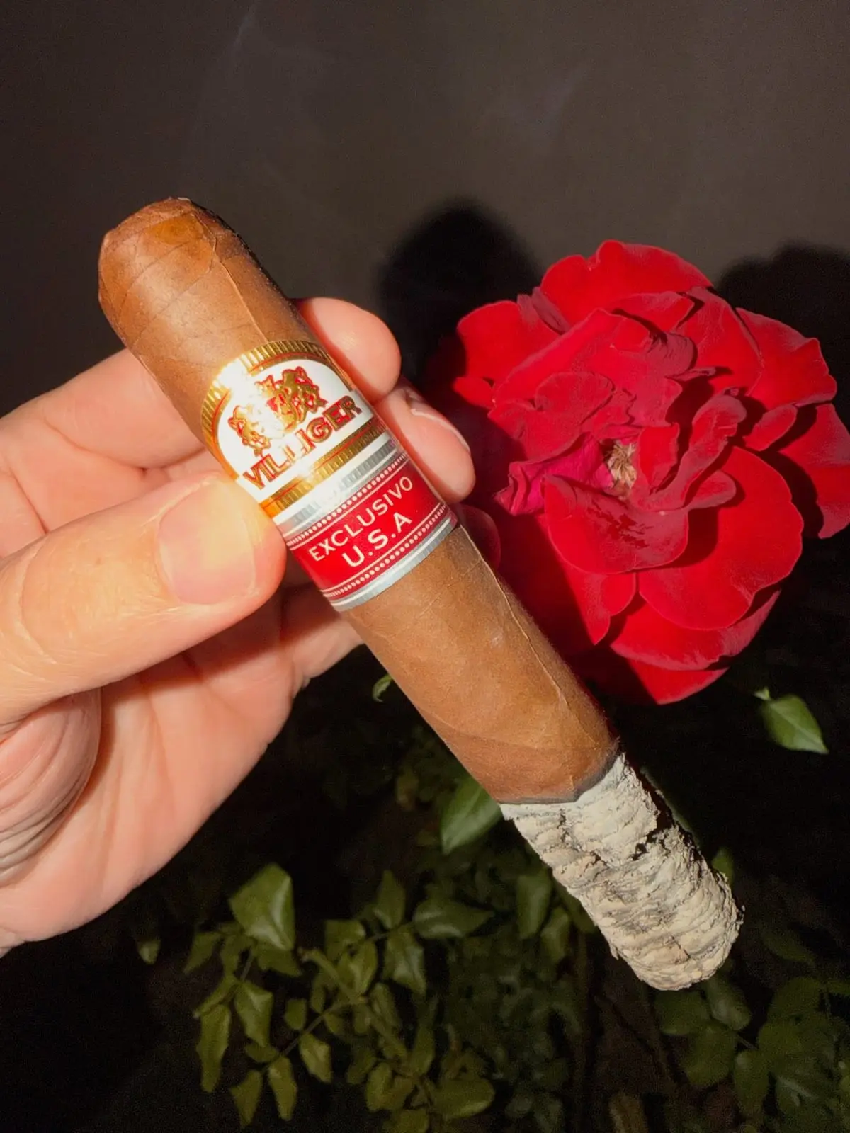 Villiger Exclusivo U.S.A. Gordo cigar, photographed by CigarSolace